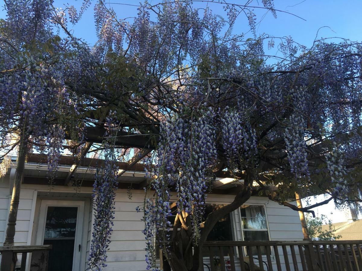 Wisteria Vine Cottage Monticello Exterior foto